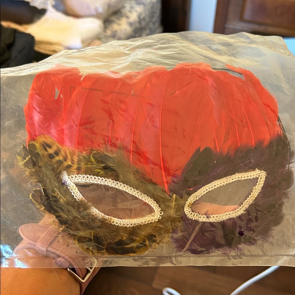 Elegant Red and Black Feathered Mask